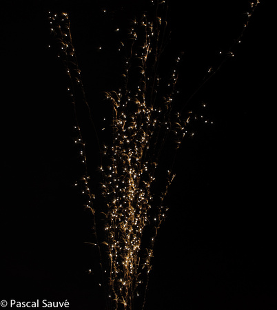 Fireworks May 24 2011