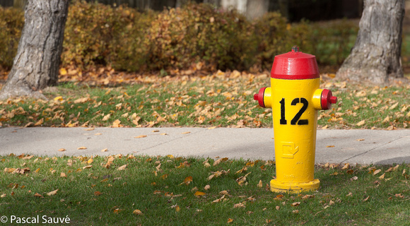 Fire Hydrant #12