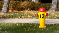 Fire Hydrant #12